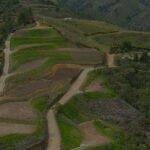 Lorem ipsum dolor sit amet, consectetur adipiscing elit, sed do eiusmod tempor incididunt